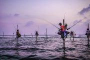 pescadores zancudos Sri Lanka