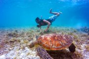 snorkel con tortuga en Maldivas